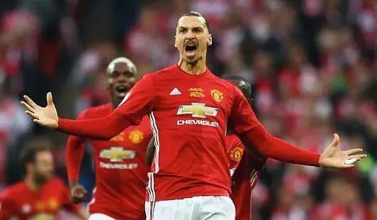 冠军的有力 冠军的有力